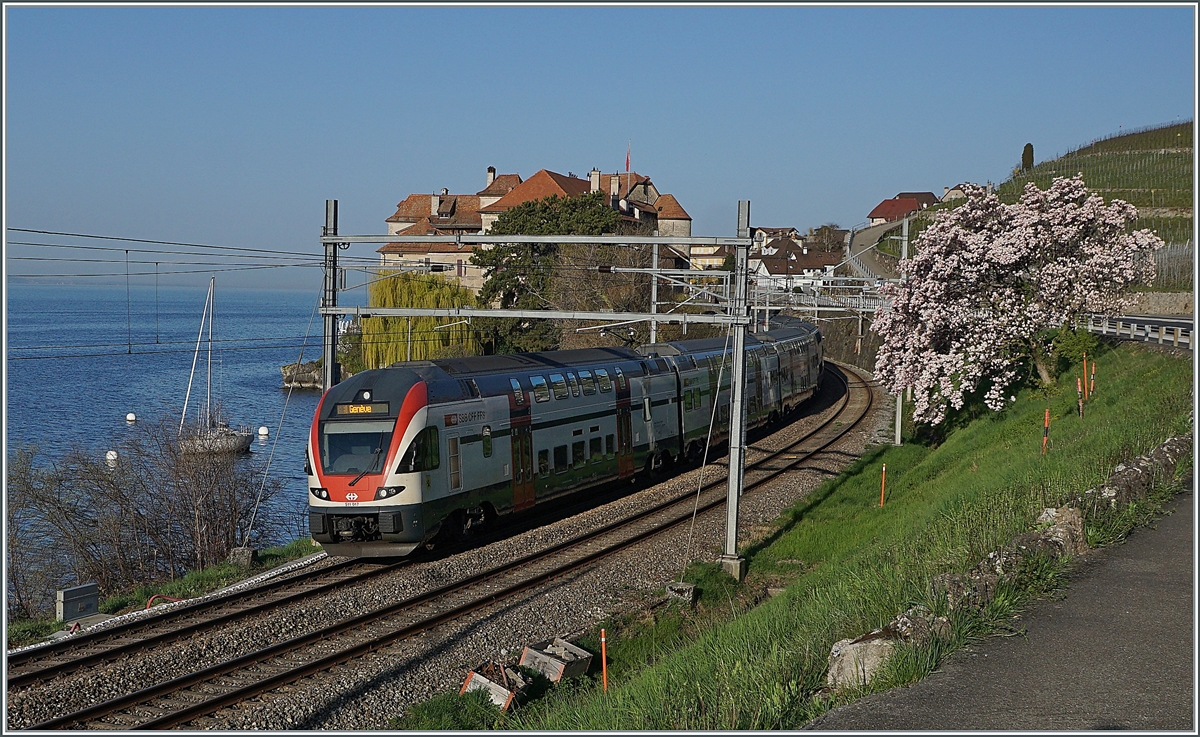 Ein SBB RABe 511 auf dem Weg in Richtung Lausanne bei Rivaz.

1. April 2021
