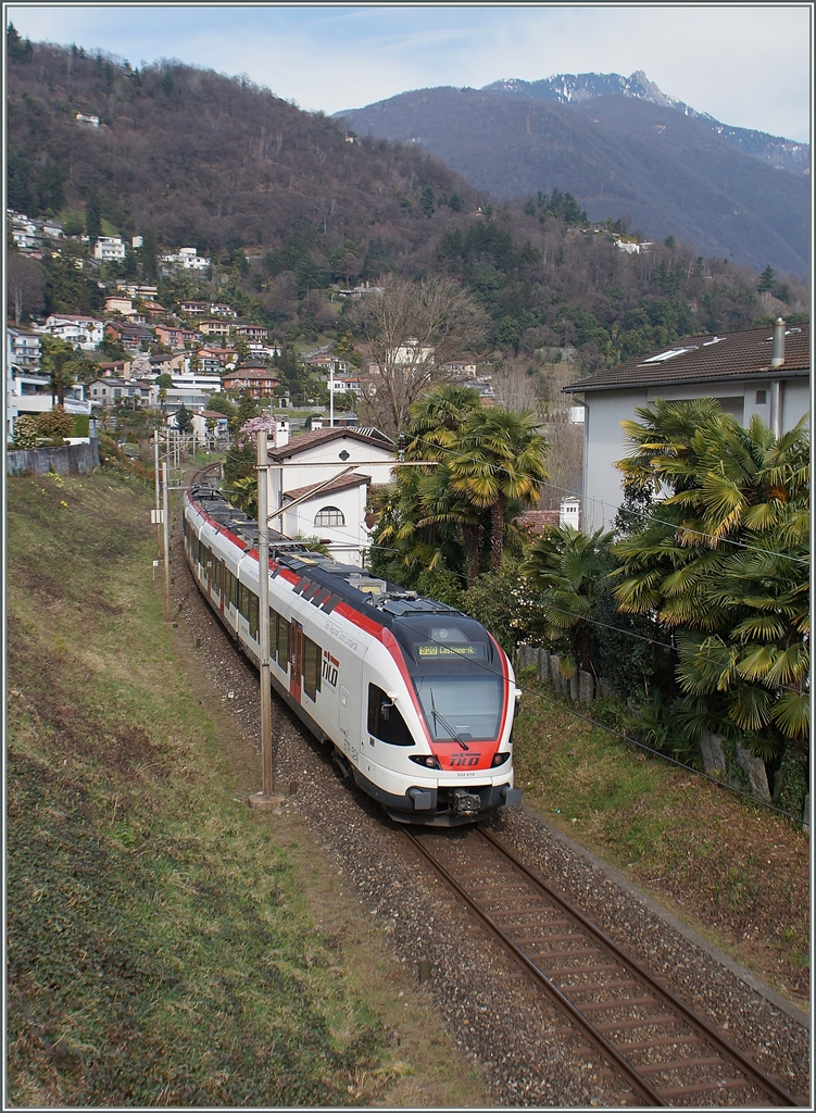 Ein TILO Flirt RABe 524 als S 20 auf dem Weg nach Castione Arbedo kurz nach seiner Abfahrt in Locarno. 18. März 2015 