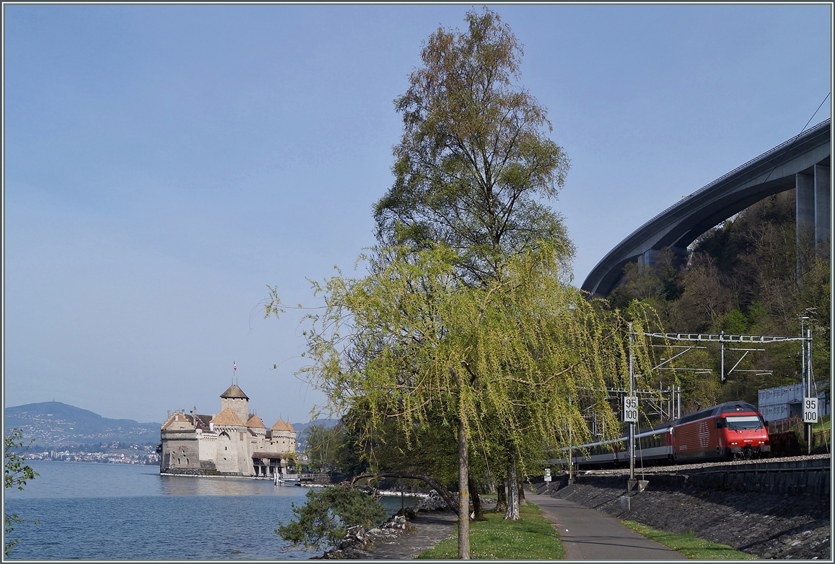 Ein Versuch, Bahn und Schloss Chillon auf eine andere Art zu fotografieren, auch mit dem Risiko, dass der Baum in der Bildmitte das Bild zu stark dominiert.
Chateua de Chillon, den 7. April 2014
