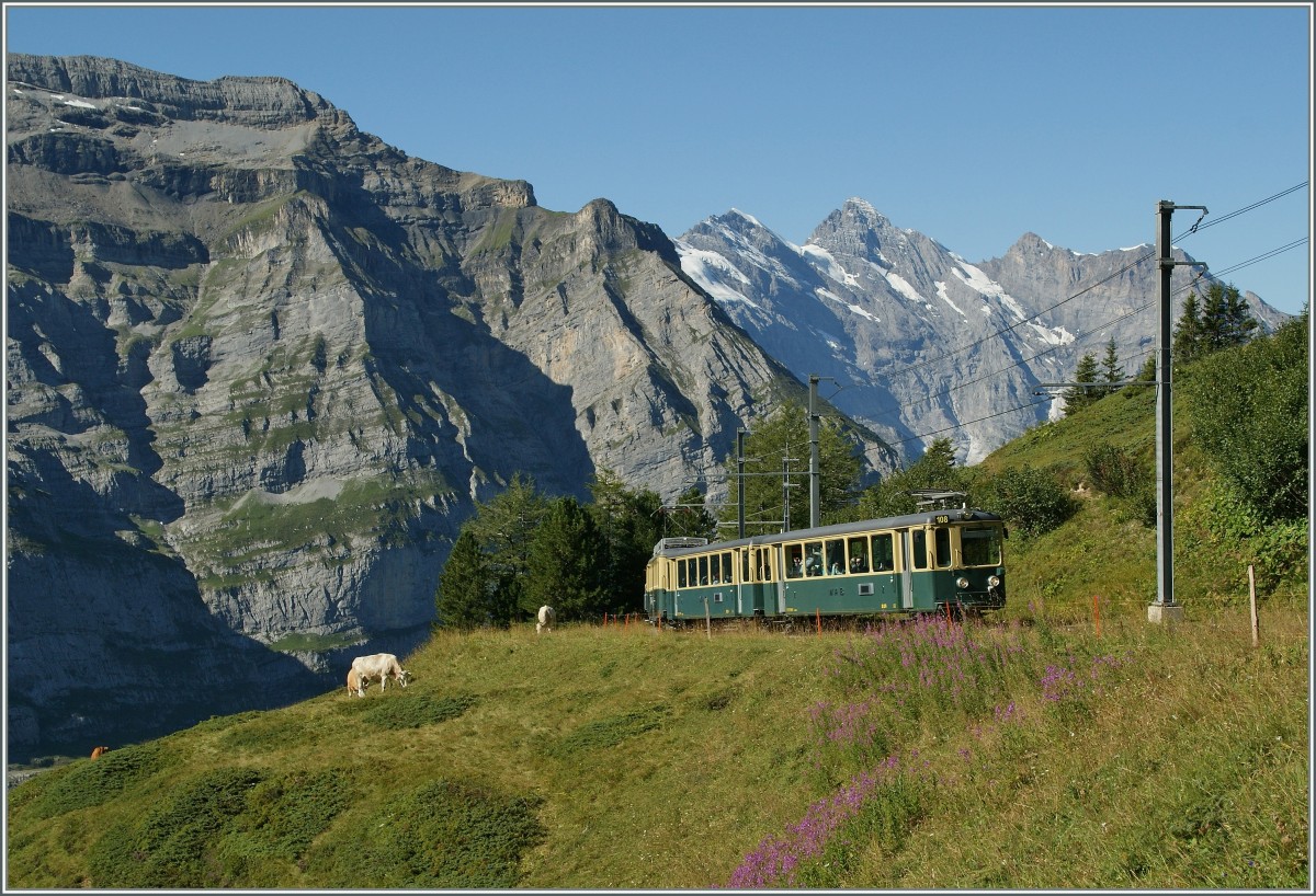 Ein WAB Regionalzug kurz vor seinem Ziel Kleine Scheidegg.
21. August 2013
