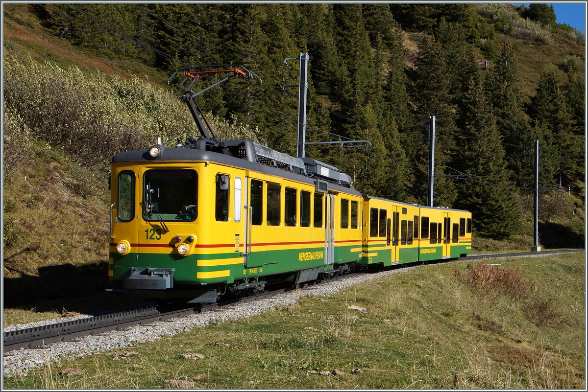Ein WAB Regionalzug zwischen der Wengeneralp und der Kleine Scheidegg. 9. Okt. 2014