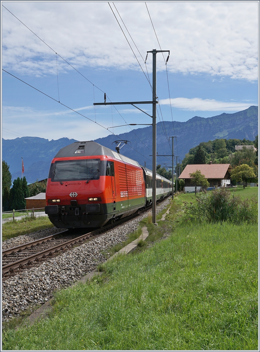 Eine SBB Re 460 erreicht mit ihrem IC 1070 von Interlaken Ost nach Basel SBB Faulensee.

19. August 2020