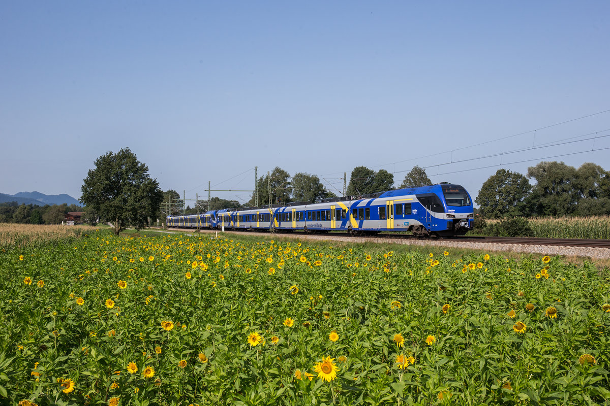 ET 326 auf dem Weg von Mnchen nach Freilassing. Aufgenommen am 26. August 2017 bei bersee am Chiemsee.