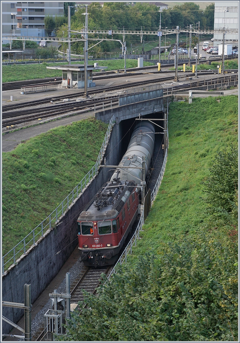 Für Güterzüge in Richtung Osten steht eine einspurige Schleife zur Verfügung, so dass die Züge erst westwärts fahren, um dann hier auf die richtigen Gleise geleitet zu werde. wobei der Einschnitt nicht einfach fotografisch festzuhalten ist. 

2. Sept. 2020