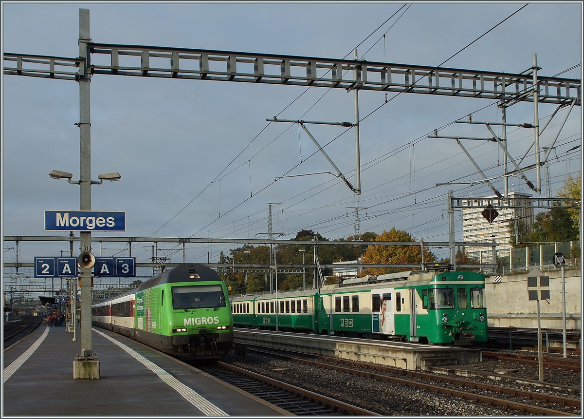 Grüne  Migros  Werbe Re 460 080-5 und BAM in Morges.
15. Okt. 2014