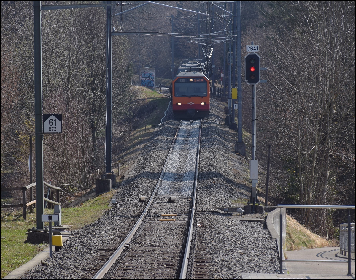 Hier kommen die Fast-Rentner Be 556 522, ein Tiefeinstiegswagen und ein nicht bekannter Be 556, hinten Be 556 527 vom Uetliberg zur�ck nach Uitikon-Waldegg. M�rz 2022.