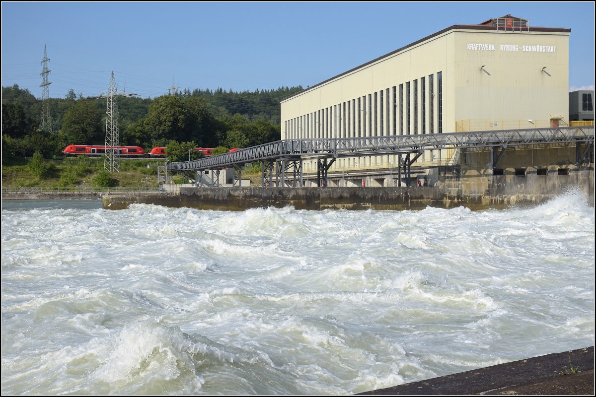 Hochwasser am Hochrhein.

Ins Wildwasser am Kraftwerk Ryburg-Schwörstadt dürften sich auch diese Walfische nicht trauen. Für die Lachse ist auf der deutschen Seite eine Fischtreppe eingebaut. Ein Leitstrahl mit separater Turbine sorgt dafür, dass die Fische die Fischtreppe finden. Möhlin, Juli 2021. 