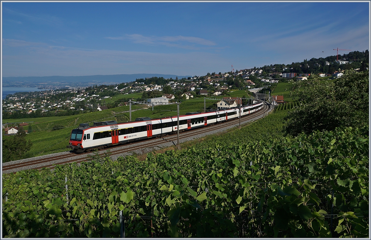 Im Lavaux bei Bossières sind zwei SBB RBDe 560 Domino Züge auf dem Weg nach Lausanne. 

14. Juli 2020