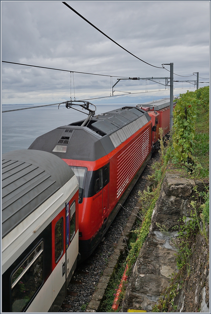 Impressionen vom nicht so gelungenen ersten  Umleitungswochenende  über die  Train des Vignes  Strecke infolge baubedingter Streckensperrung Vevey- Lausanne: Der Hilfszug XTmas 99 85 9177 004-0 schleppt den liegengeblieben und zwischenzeitlich nach Vevey zurück gefahrenen IR ab. 

Oberhalb von St-Saphorin, den 29. August 2020