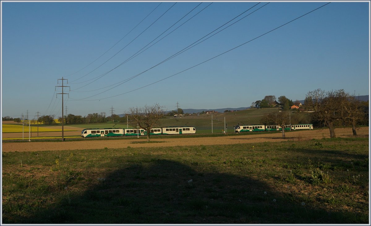 In Chigny begegen sich zwei BAM Regionalzüge; die Haltestelle wurde kürzlich zu einer Kreuzungsstation ausgebaut und erlbaubt seiteher eine Verdichtung des Taktes auf der BAM.
10. April 2017