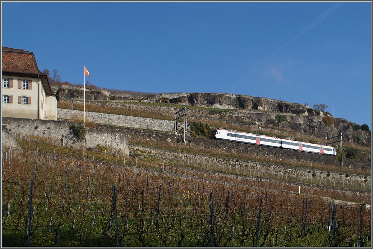 in Domino als S31 auf der Fahrt von Vevey nach Puidoux-Chexbres oberhalb von St-Saphorin. 22. Nov. 2014