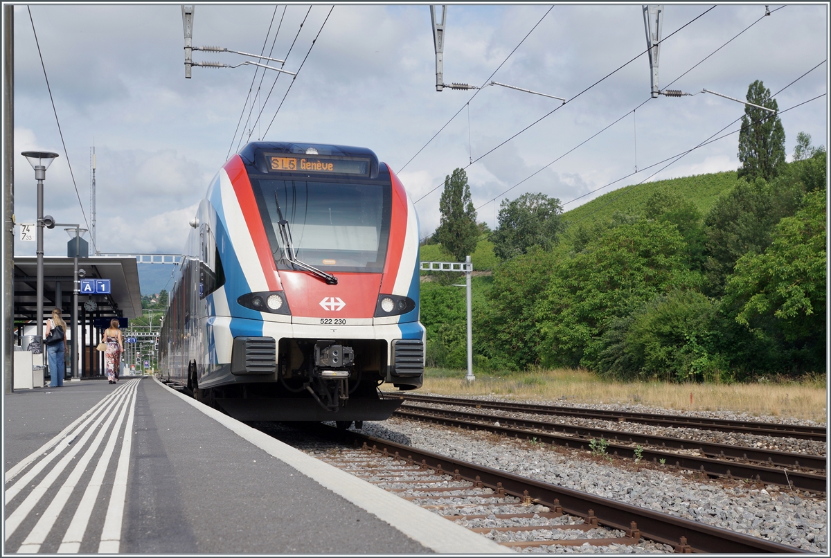 In La Paine enden (oder Beginne) die Regionalzüge von und nach Genève; seit Inbetriebnahme  der CEVA (Genève- Annemasse) verkehren die Züge als Léman Express (SL5) obwohl ihr Laufweg nicht direkt von der Neubauline tangiert wird.

28. Juni 2021
