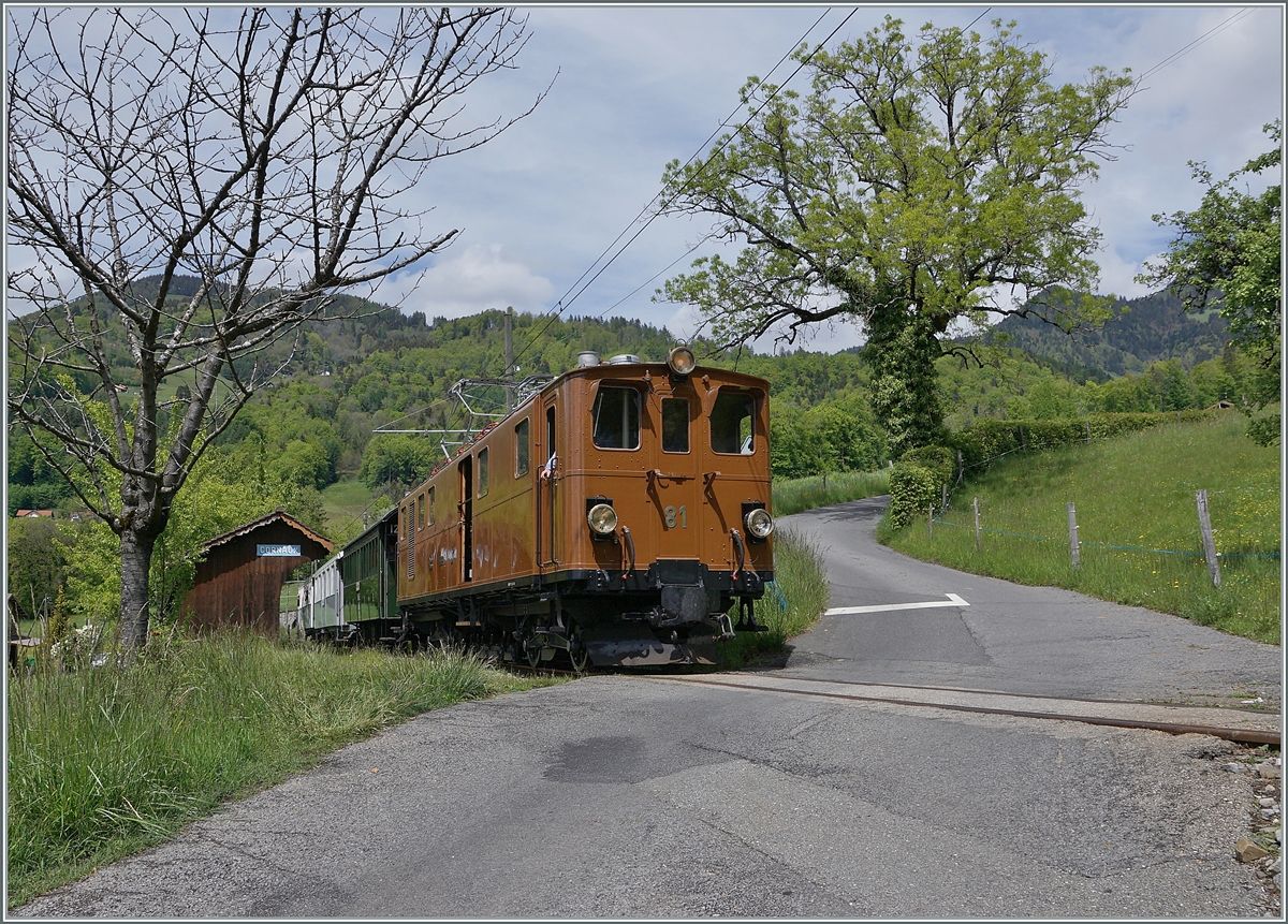  Nostalgie & Vapeur 2021  /  Nostalgie & Dampf 2021  - so das Thema des diesjährigen Pfingstfestivals der Blonay-Chamby Bahn. Die Blonay-Chamby Bernina Bahn Ge  4/4 81 mit einem Personenzug nach Chaulin bei der Haltestelle von Cornaux. 

22. Mai 2021