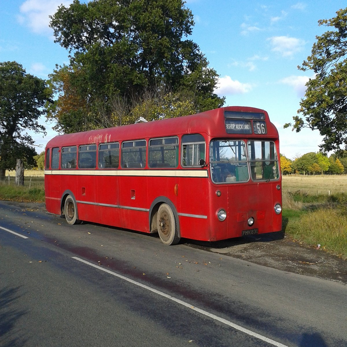 PHN 831
1952 Bristol LS5G
ECW B45F
New to United Automobile Services, Darlington, County Durham, Englandas fleet number BU2.
Photo taken at Page Bank, County Durham, England on 17th October 2015.