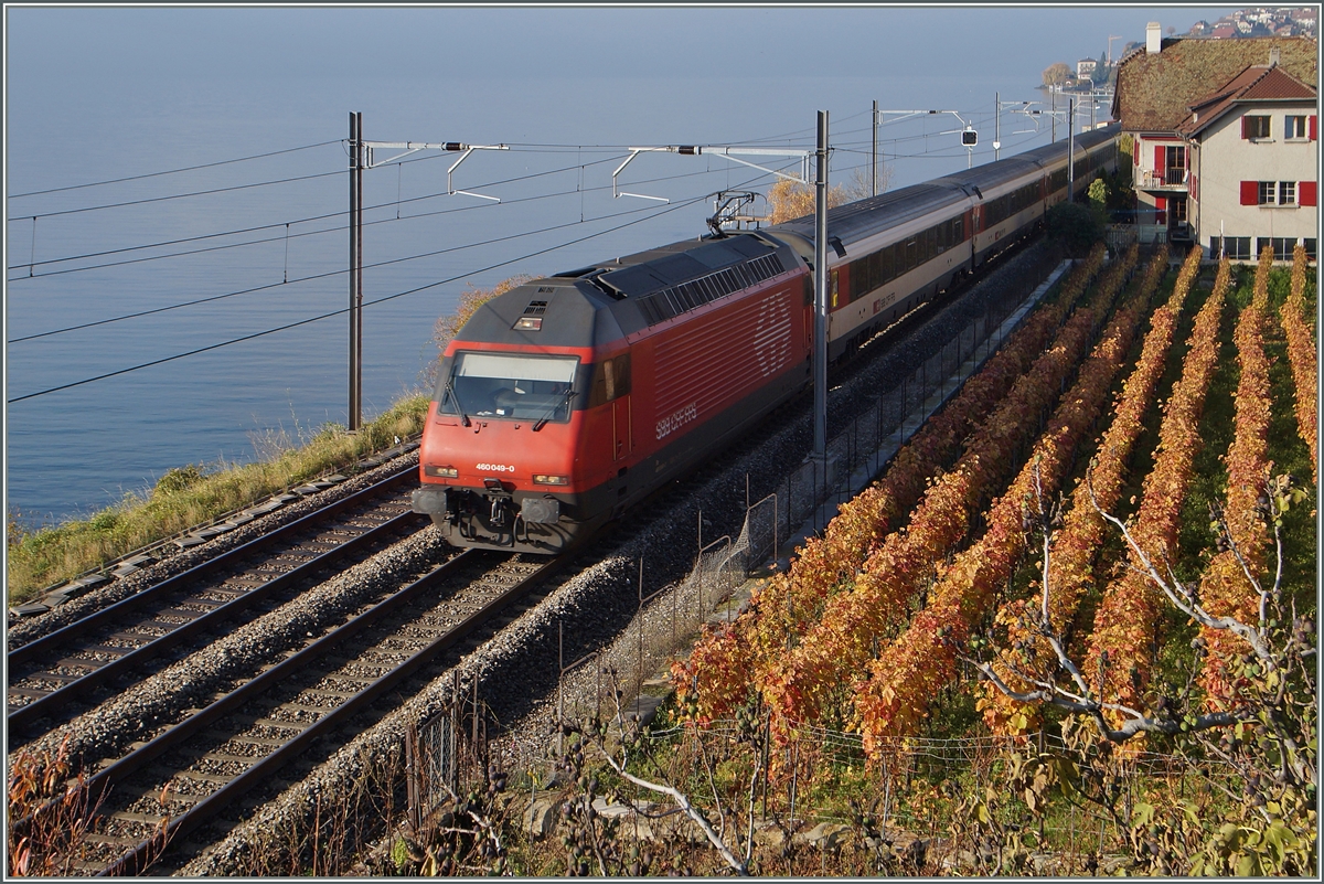 SBB Re 460 049-0 mit einem IR bei den letzten bunten Herbst-Blättern bei St Saphorin.
22. Nov. 2014