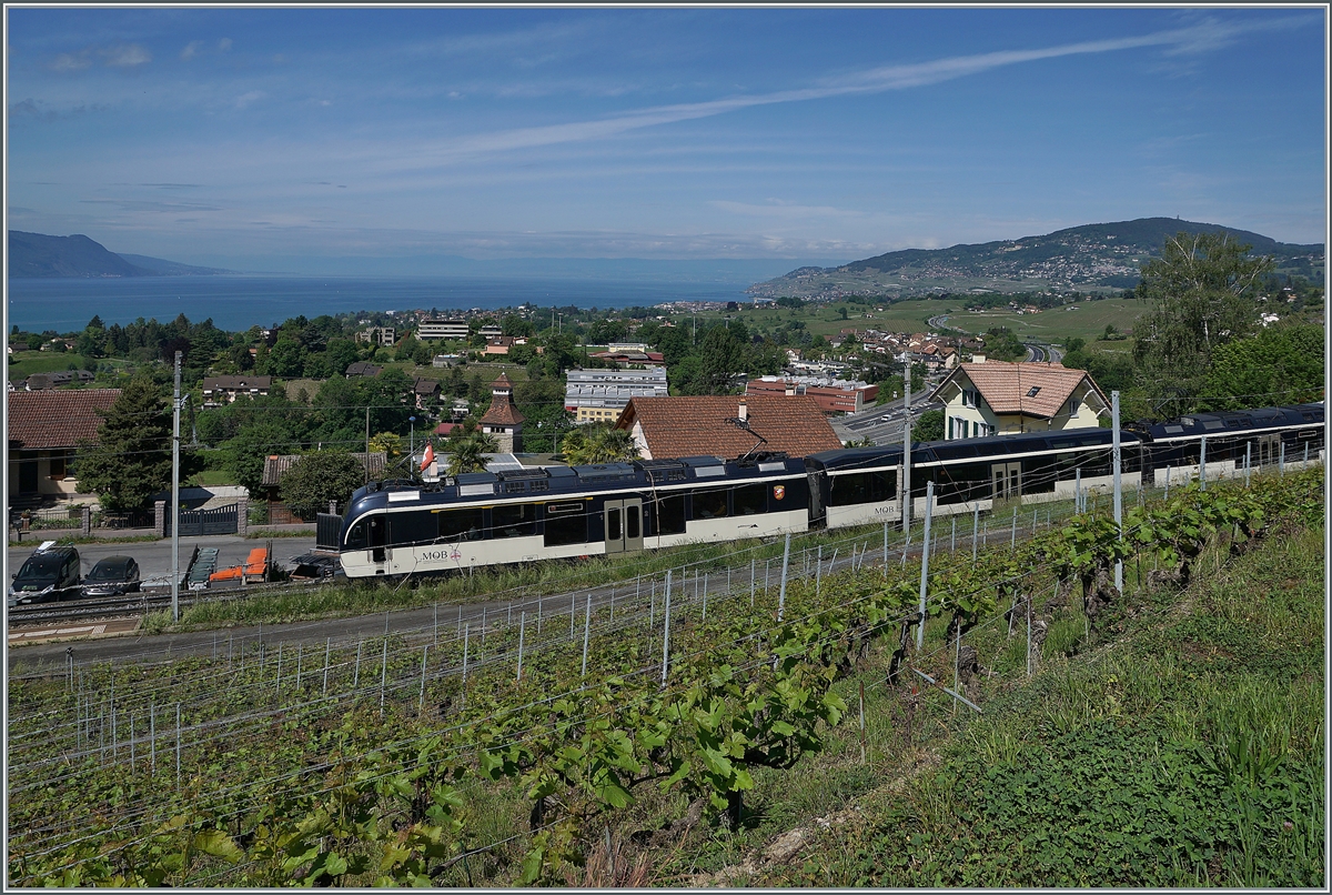 So ganz überzeugt diese mitten in einem Rebberg gelegen Fotostellen nicht, so dass es wohl bei diesem einen Bild eines  MOB Alpina  Zuges mit Sicht über den Genfer See bleiben wird. 

10. Mai 2020