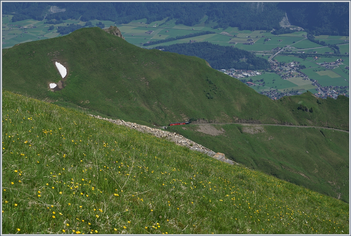 Talwärts, Brienz entgegen ruckelt der BRB Dampfzug. Das Bild wurde von der Gipfelstation aus gemacht.
7. Juli 2016