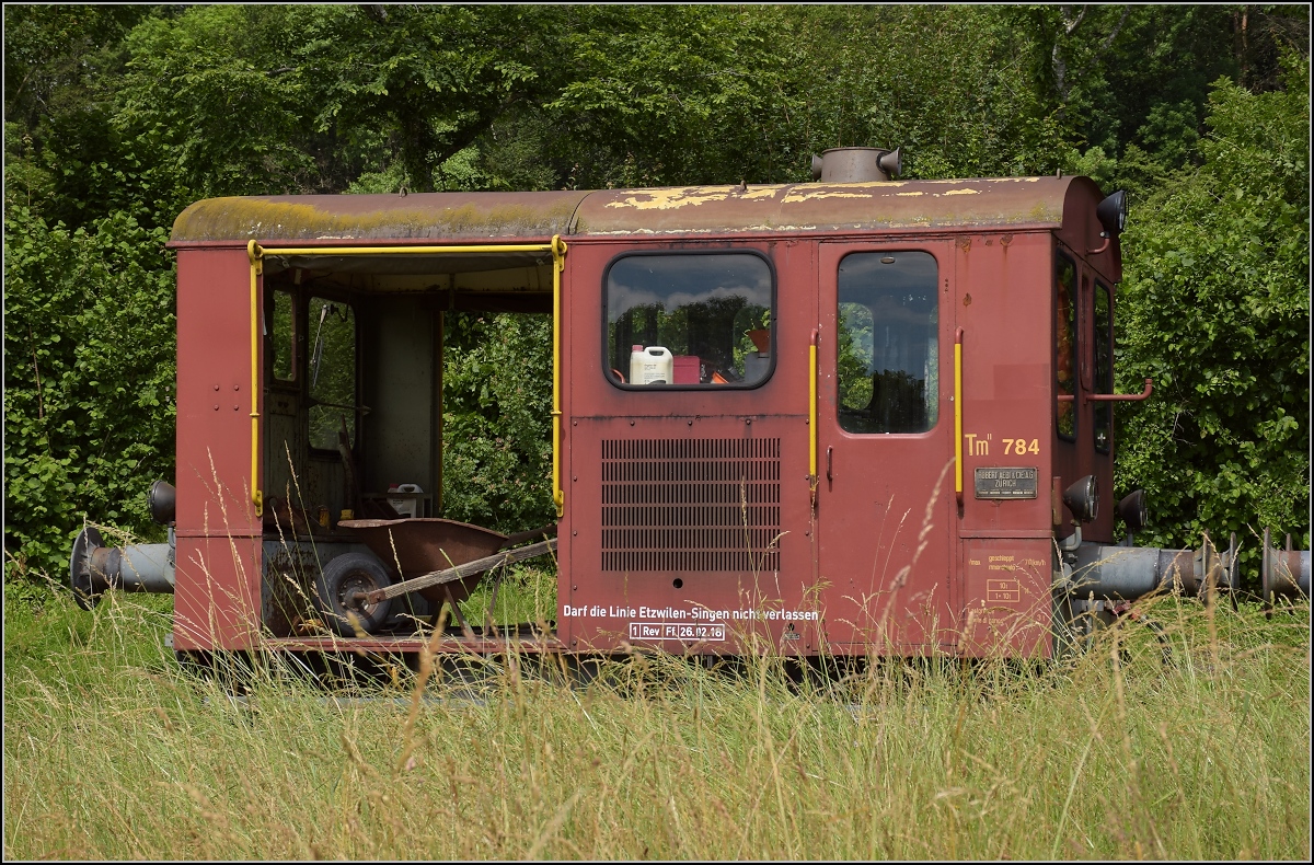 Tm II 784 aus der Tm II-Sammlung des Vereins Etzwilen-Singen. Hemishofen, Juni 2019.