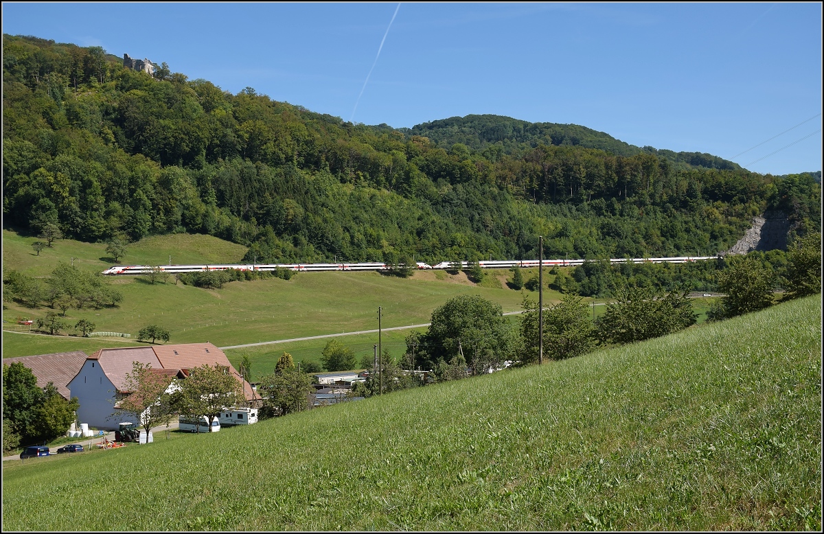 Umleiterverkehr auf dem L�ufelfingerli. Ein Doppelpack RABe 503 in der Juralandschaft, einer der beiden Triebz�ge d�rfte wohl als ECE weiter gen Frankfurt eilen. Katzbach, August 2018.