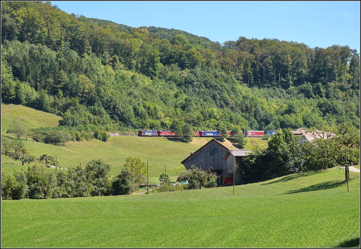 Umleiterverkehr auf dem L�ufelfingerli. �berraschend trotz Sonntag kam mir die Re 20/20 bei Katzbach entgegen. August 2018.