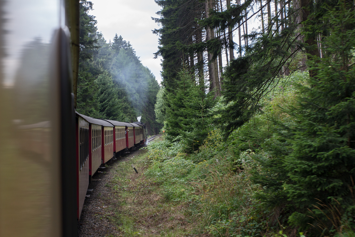 Unterwegs mit einem Dampfzug der Harzer Schmalspurbahnen, gezogen von 99 7237-3 zwischen Drei Annen Hohne und Schierke am 16.08.16.