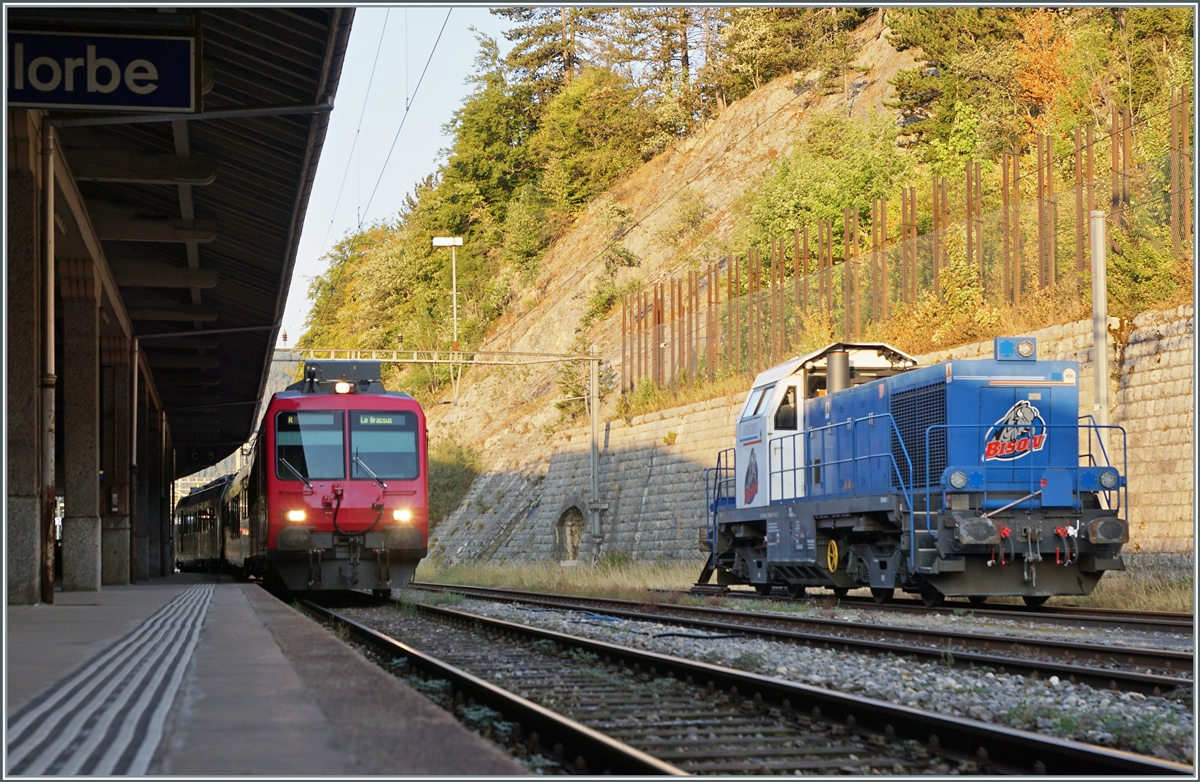 Während der Regionalzug nach Le Brassus in Vallorbe bereitgestellt wird, steht die SCHEUCHZER Diesellok Am 847 101-3 (CH-SCHEU 92 85 88 47 101-3)  Le Bison  steht auf einem Abstellgeleis.

15. August 2022