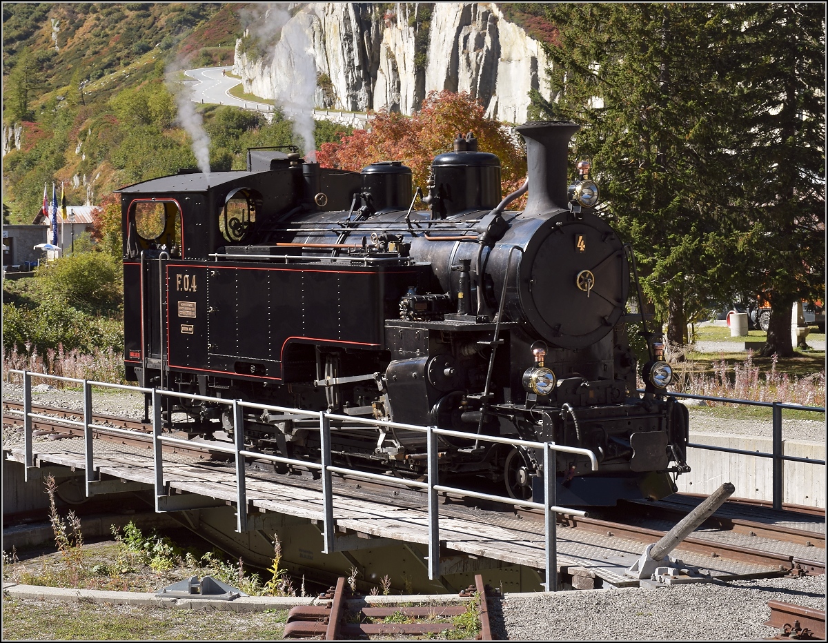 Zufällig vorbeigekommen an der FO Nr. 4. Die muss man in ihrem natürlichen Habitat natürlich gleich ablichten. Gletsch, Oktober 2018.
