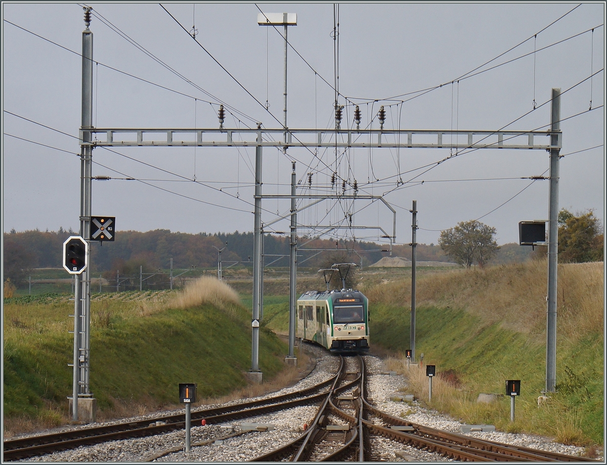 Zur Feier  120 BAM MBC  wurde der Neuen Be 4/4 31 + Be 4/4 32 vorgestellt, hier beim Man�ver in Apples.
24. Okt. 2015