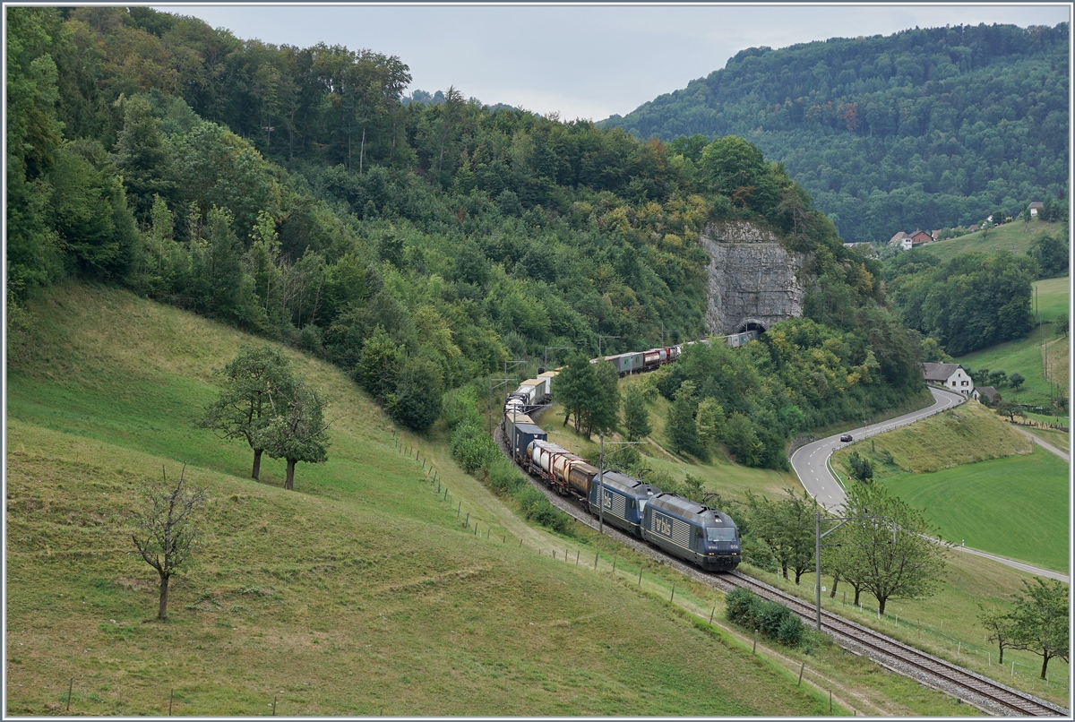 Zwei BLS Re 465 ziehen einen Güterzug zwischen Läufelfignen und Buckten (Alte Hauenseinlinen) Richtung Basel.
7. August 2018