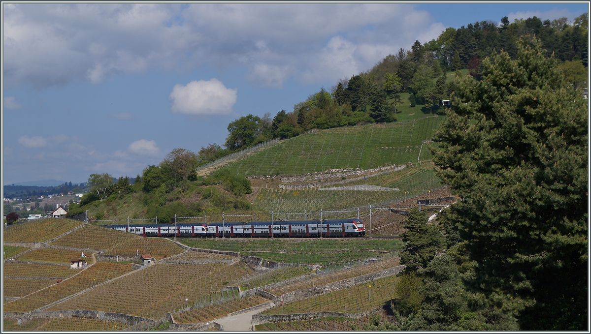 Zwei RABe 511 hatten lieder im vorgesehen Abschnitt nicht Platz... 
RE Romont - Genève zwischen Grandvaux und Bossière.
23. April 2014