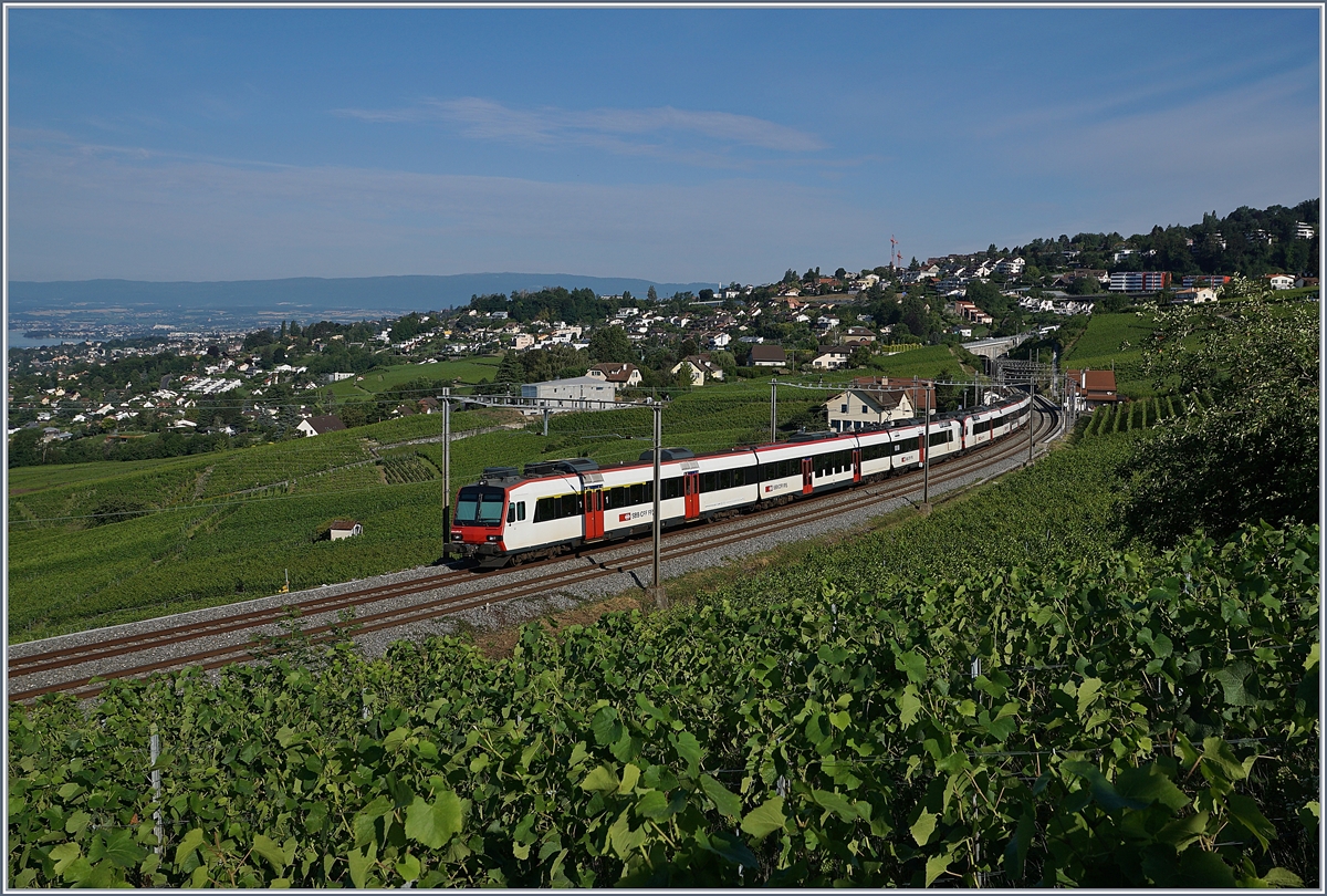 Zwei SBB RBde 560-Domino-Züge auf der Fahrt in Richtung Bossière in den Weinbergen des Lauvaux. 

14. Juli 2020