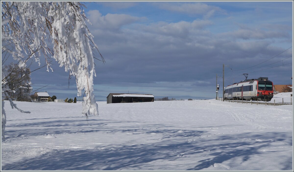 Zwischen Sales und Vaulruz konnte in einer herrlichen Winterlandschaft dieser SBB RBDe 560 Domino fotografiert werden. Der für die tpf fahrende Zug ist als RE 3818 von Bern nach Bulle unterwegs. 

23. Dezember 2021