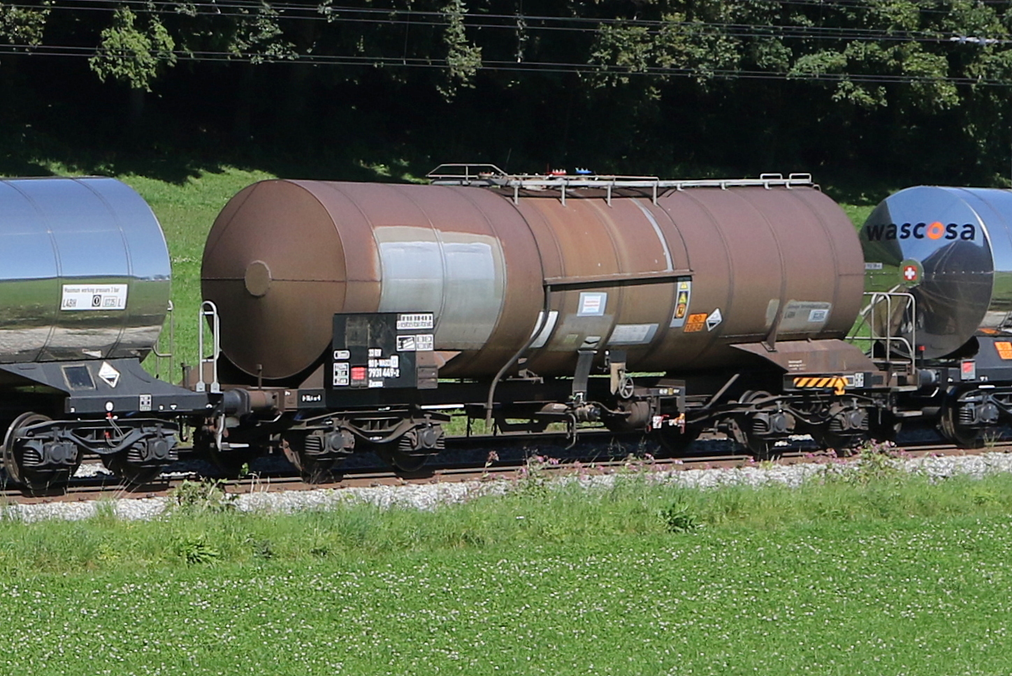 7831 449 (Zacens) von  WASCOSA  am 6. September 2023 bei Axdorf.