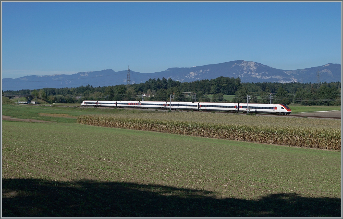 Die bis für bis zu 200 km/h zugelassene Verbindungsstrecke zwischen der NBS (bei Wanzenwil) nach Solothurn verläuft grösstenteils auf der alten Strecke Herzogenbuchsee - Solothurn (-Biel/Bienne), die 1857 als Hautstrecke eröffnet wurde, aber durch den Bau der Strecke Olten - Oensingen - Solothurn - (Busswil) zur unrentablen Nebenbahn mutierte.
Im Bild ein SBB ICN auf der Fahrt von Genève - Aéroport nach Rorschach kurz vor Wanzenwil, im Hintergrund der Jura. 

19. Sept. 2022