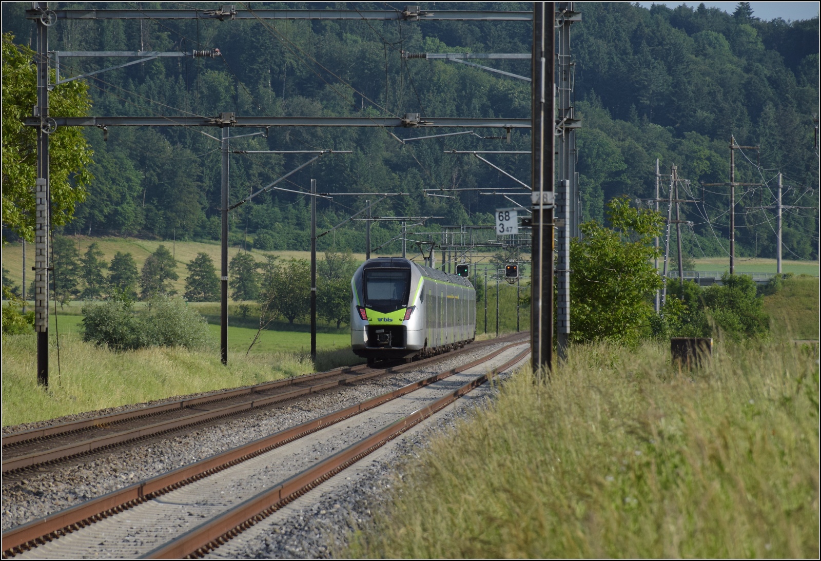 Fernverkehrstag auf der Altstrecke.

Mika RABe 528 109 bei Bollodingen. Juni 2023.
