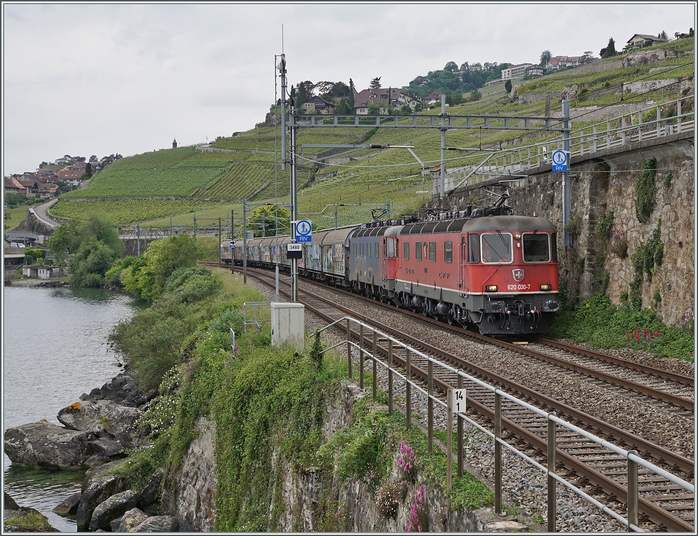 Mit zwei Re 6/6 bespannt ist zwischen Rivaz und St-Saphorin der EWKV SBB Cargo Güterzug von Lausanne Triage nach Zürich RBL via Brig und Kandersteg unterwegs. An der Zugsspitze führt die rote SBB Re 6/6 11630 (Re 620 91 85 4 620 030-7 CH SBBC)  Herzogenbuchsee den Zug und dahinter hilft die Re 6/6 11624  Rothrist . 

16. Mai 2025 