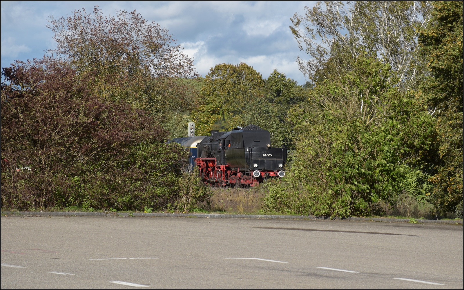 Schienenverkehr am Schienerberg. 

52 7596 mit ihrem EFZ-Sonderzug für die SEHR & RS auf Schmugglerpfaden durchs Gebüsch nach Ramsen. Oktober 2022.