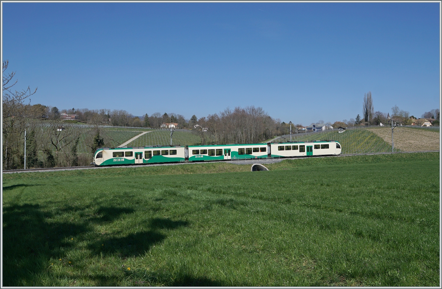 Zwei BAM SURF Be 4/4 mit Mittelwagen sind als Regionalzug von Morges nach Bière kurz vor Vufflens le Château unterwegs. 

4. April 2023