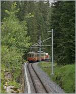 Der BLM Be 4/4 31 'LISI' ist auf der Fahrt von der Grütschalp nach Mürren und hier zwischen Winteregg und Mürren schon bald am Ziel der kurzen Fahrt, beträgt doch die Streckenlänge nur  4.27 Kilometer. 

23. Juli 2024