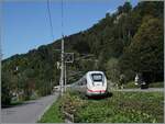 Gartenbahn - aber im Massstab von 1/1; die Bahn mag sich zurecht einen Grünen Anstrich geben, aber hier hat man es wohl etwas übertrieben: Der DB ICE 4 9217 kämpft sich zwischen Bregenz und Lochau Hörbranz durch den Jungle in Rich ...