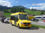 (218'975) - Tritten, Zweisimmen - BE 802'464 - Mercedes (ex BLT Oberwil Nr.