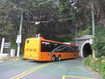 (191'795) - Airport Flyer, Wellington - Nr.