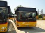 (146'015) - CarPostal Ouest - VD 495'042 - MAN am 22.