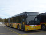 (186'019) - CarPostal Ouest - JU 36'038 - MAN am 21.