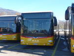 (201'587) - CarPostal Ouest - JU 36'104 - MAN am 16.