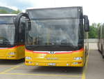 (216'942) - CarPostal Ouest - JU 36'038 - MAN am 10.