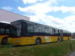 (217'852) - CarPostal Ouest - VD 495'031 - MAN am 13.