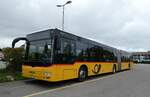 (281'242) - CarPostal Ouest - VD 495'031/PID 5011 - MAN am 11.