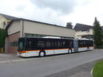 (225'780) - Bamert, Wollerau - SZ 79'922 - Neoplan (ex VBZ Zrich Nr.