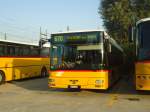 (140'931) - CarPostal Ouest - VD 510'247 - MAN (ex P 25'585) am 27.